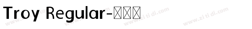 Troy Regular字体转换